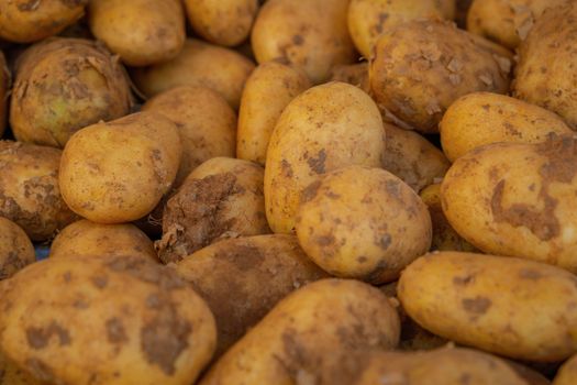 Pommes de terre
